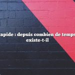 Réponse rapide : depuis combien de temps le gluten existe-t-il